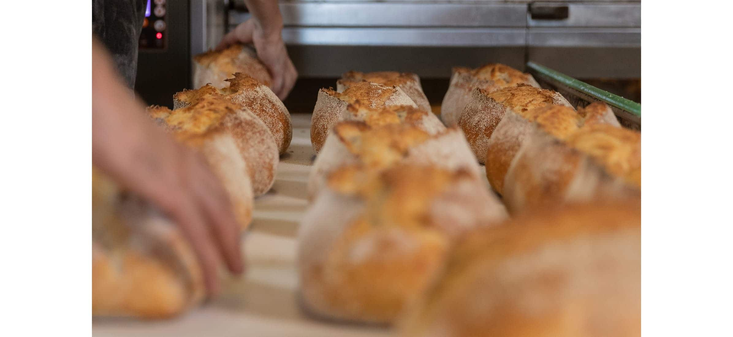 Loaves of bread fresh out of the oven.